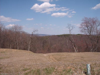 /international/us/lot-no-59-madison-street-northumberland-pa-110043925626/?lang=zh-tw