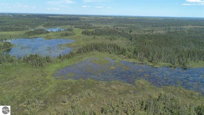 /international/us/320-acres-aho-road-rudyard-mi-110105275942/