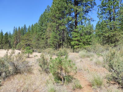 /international/us/w-ponderosa-dr-lookout-ca-110096878233/