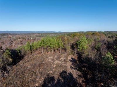 /international/us/polk-road-617-lot-13-mena-ar-110102351742/