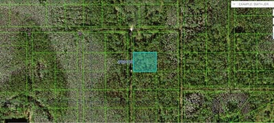 /international/us/n-a-polk-city-fl-110094195727/?lang=en