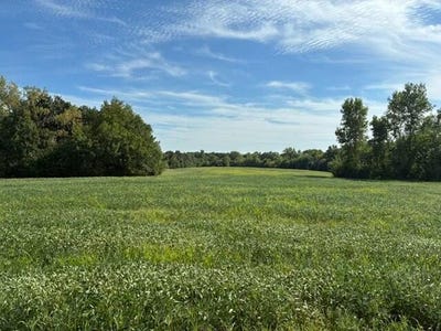 /international/us/125th-rd-lot-c-sweet-springs-mo-110106124914/