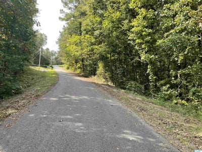 /international/us/0-53-acres-mountain-top-road-southside-al-110089407396/