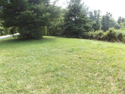 /international/us/sylvatus-hwy-lot-4-hillsville-va-110119920719/
