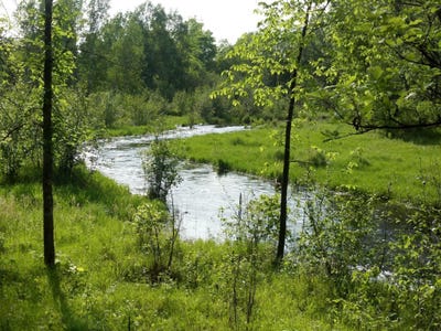 /international/us/10005-rice-road-brook-park-mn-110108350327/