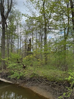 /international/us/v-l-donley-road-middlefield-oh-110107634346/