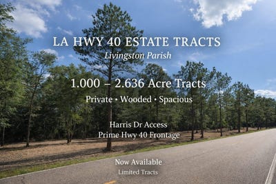 /international/us/tbd-la-hwy-40-albany-la-110105863014/