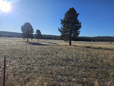 /international/us/31747-godowa-springs-road-beatty-or-110106031994/