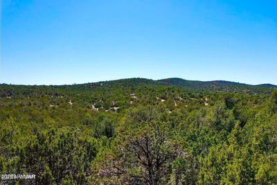 /international/us/61-acr-3189-vernon-az-110101066450/