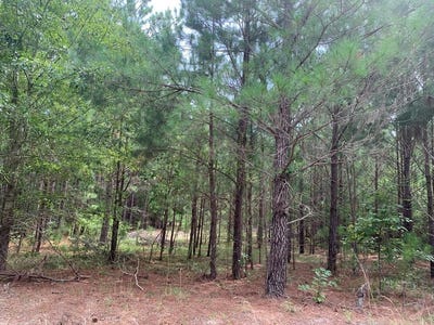 /international/us/0000-rabbit-den-road-rembert-sc-110096165593/?lang=zh-cn