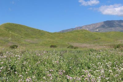 /international/us/0-dickenson-road-santa-paula-ca-110107516601/