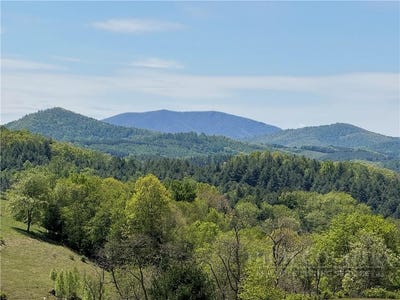 /international/us/299-s-fork-church-rd-piney-creek-nc-110107733367/