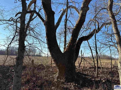 /international/us/n-100-w-lot-1-perrysville-in-110108350554/