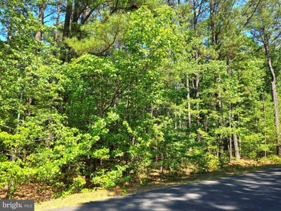 /international/us/4-stafford-cove-ruther-glen-va-110108206777/