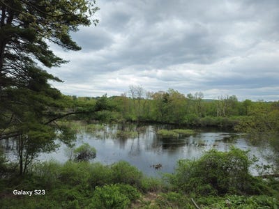 /international/us/461-n-orange-road-athol-ma-110100324910/