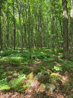 /international/us/10555-easement-road-tipler-wi-110098242668/?lang=zh-tw