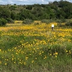 /international/us/207-verbena-ct-johnson-city-tx-110099379471/