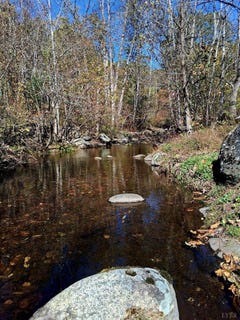 /international/us/0-north-forks-road-amherst-va-110103198160/