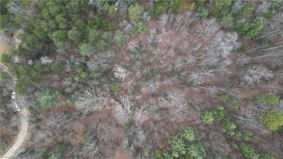 /international/us/browntown-road-millers-creek-nc-110104545844/