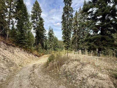 /international/us/10-crocus-court-lot-40-cascade-id-110120020531/