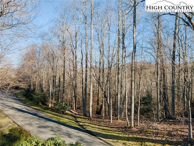 /international/us/52-raven-ridge-road-banner-elk-nc-110089487570/