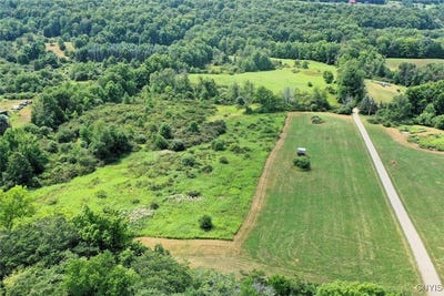 /international/us/county-route-46-dansville-ny-110101302509/?lang=zh-cn