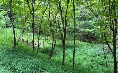 /international/us/lt-12-the-preserve-at-beach-mountain-brasstown-nc-110086210695/?lang=zh-cn