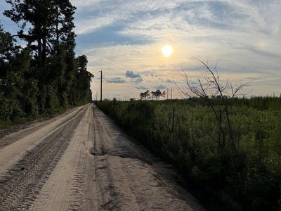 /international/us/tract-1-conine-road-lakeland-ga-110109061449/