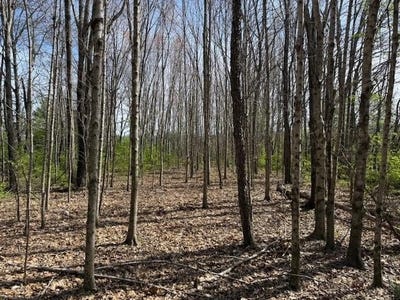 /international/us/shellsford-rd-mcminnville-tn-110106431975/