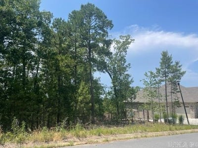 /international/us/majestic-circle-lot-116-ar-maumelle-ar-110102685136/