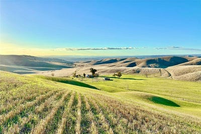 /international/us/3780-s-gillis-canyon-road-shandon-ca-110103419907/