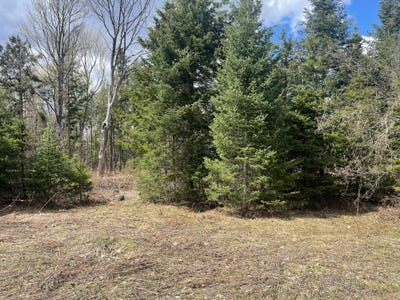 /international/us/81620-pociask-rd-butternut-wi-110108011258/