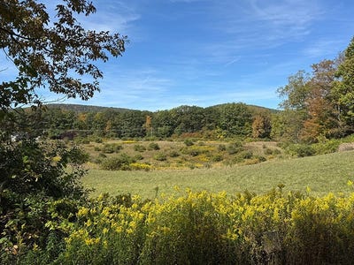 /international/us/l13-08-co-hwy-35-cooperstown-ny-110102498721/