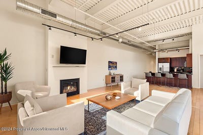 /international/us/361-robinson-street-basalt-co-110106455534/