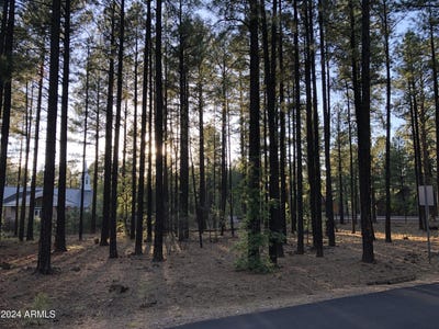 /international/us/2504-timber-ridge-lane-pinetop-az-110096824028/
