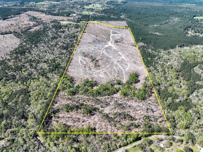 /international/us/1-county-road-443-kirbyville-tx-110090823647/?lang=zh-tw