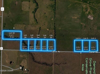 /international/us/carver-road-lot-23-diamond-mo-110108640360/?lang=it
