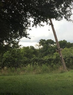 /international/us/22125-nw-county-road-3280-hubbard-tx-110100265700/