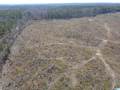 /international/us/county-road-36-lot-20-acres-randolph-al-110109051099/