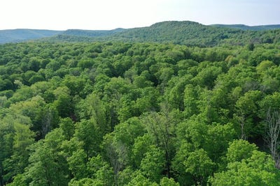/international/us/000-canada-hollow-road-millport-pa-110101146628/