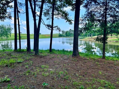 /international/us/0-pine-grove-road-carrollton-al-110101038207/
