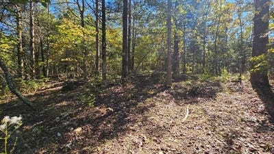 /international/us/rolling-hills-block-11-lot-22-theodosia-mo-110108818942/