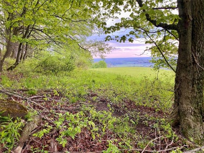 /international/us/301-305-hust-road-hust-callicoon-ny-110108296837/