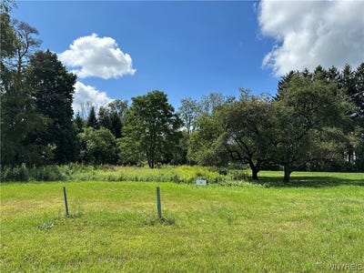 /international/us/lot-10-tanglewood-development-allegany-ny-110081514686/?lang=zh-tw