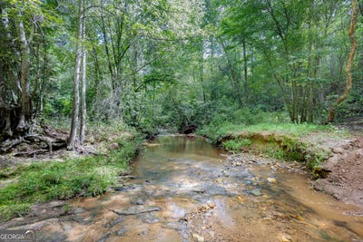 /international/us/0-county-road-475-woodland-al-110101090103/