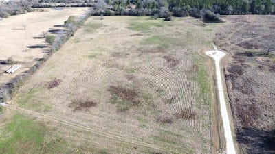 /international/us/1475-southfield-trail-lovelady-tx-110106468099/