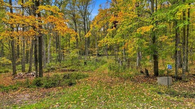/international/us/129241-hillwood-road-edgar-wi-110120426652/