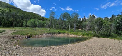 /international/us/8-tract-hall-creek-helmville-mt-110108301884/