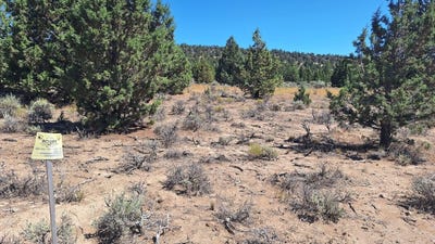 /international/us/1100-goldenview-ranch-bend-or-110106032132/