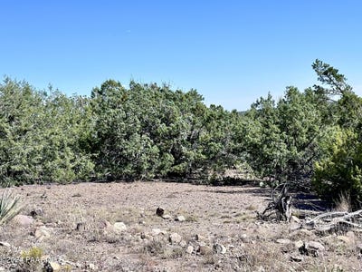 /international/us/lot-1173-n-wonderland-way-seligman-az-110095032497/